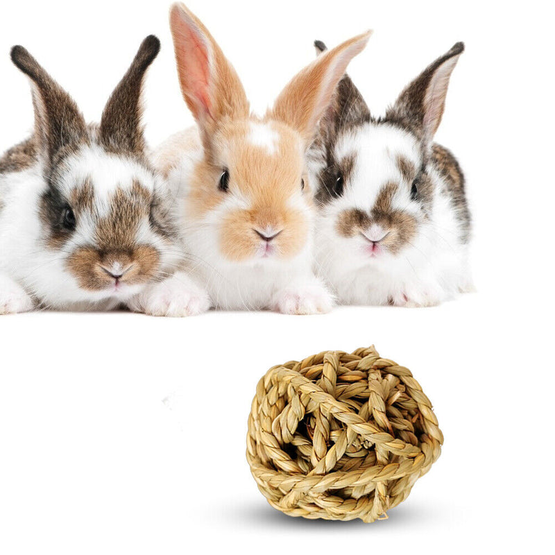 Hamster Rabbit Chewing Molar Grass Ball Small Animals Pet Tooth Clean Balls