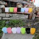 Succulent Garden Supply Mini Basin Planter Tool Flower Pot Plant  Trays