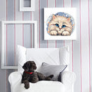 Persian Cat Animal Series Diamond Painting Kits Full Round Drill 30x30cm (A22