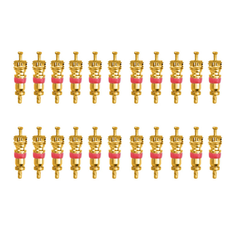 20pcs Tyre Valve Core with 2 Professional Bike Tubes Service Parts Tool for