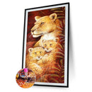 Animal 5D DIY Full Round Diamond Painting Mosaic Picture Home Decoration 30x65cm