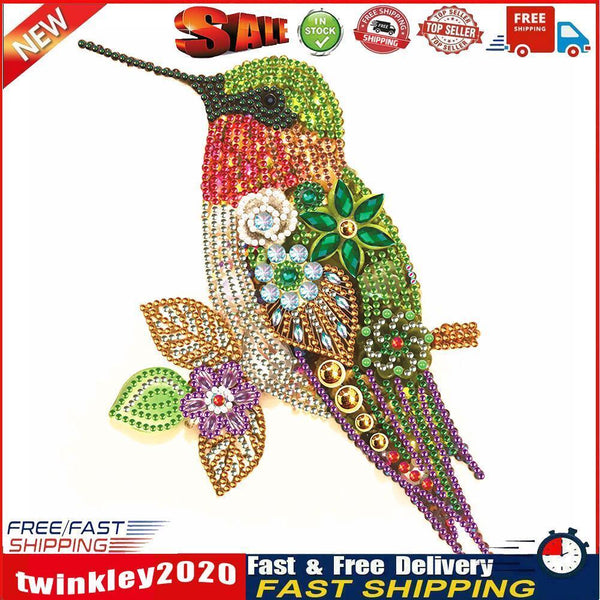 5D Partial Special Shaped Diamond Painting Hummingbird Poster Kit (UP264) Newly