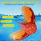 20cm little devil fish (pack of 2) water toys swimming pool playing floating`