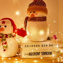 LED Garland Flower String Fairy Light for Valentine Wedding Decor (Warm)