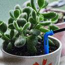 Dripper Micro Drip Irrigation Sprinklers Spray Nozzle