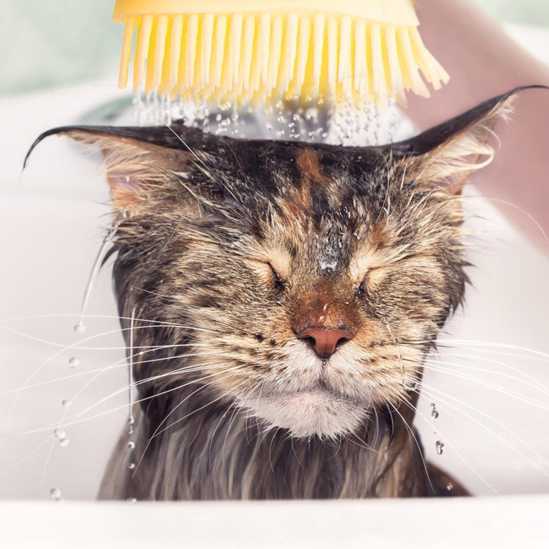 Pet Dog Massage Shampoo Brush Cat Bath Shower Brush Cleaning Comb (Yellow)