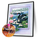 Partial Special-shaped Diamond Painting Kits Birds Flowers Mosaic Craft (YX