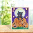 5D DIY Special Shaped Diamond Painting Pumpkin Cat Embroidery Mosaic Kits