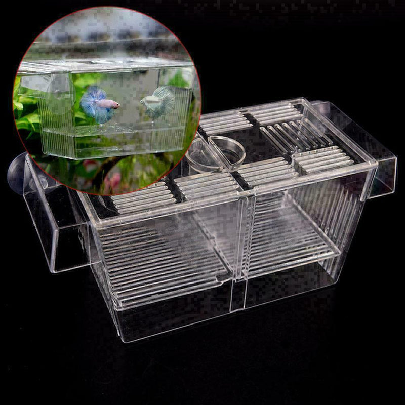 Aquarium Fish Tank Guppy Double Breeding Breeder Rearing C L6C0 Clear X6K0 A1G7
