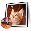 Diamond Painting 5D Cat Plays Butterfly DIY Full Round Drill Decoration Han