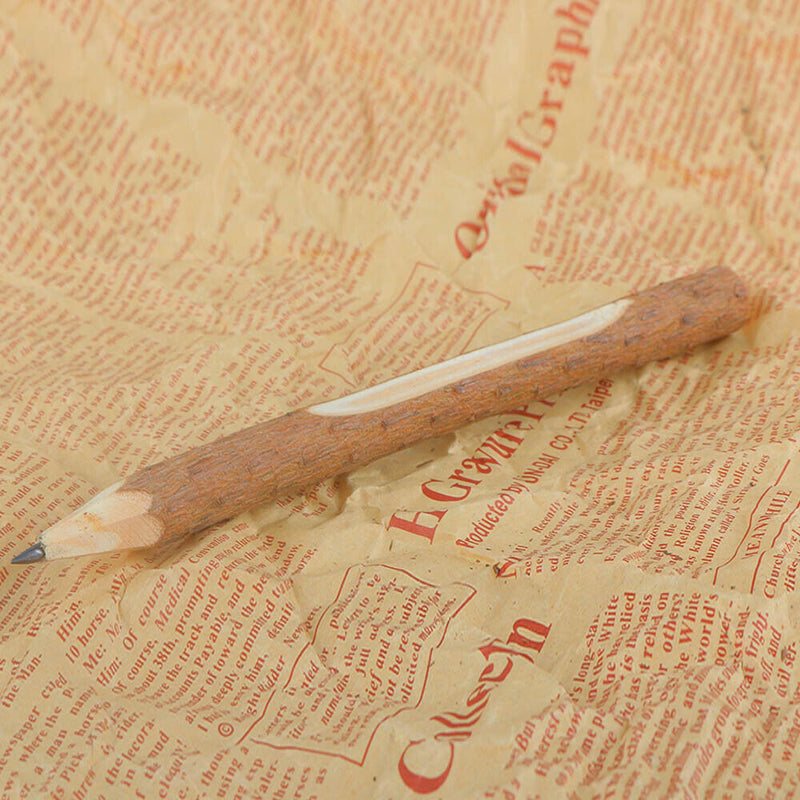 Stationery School Supplies Writing Tool Wooden Pencil Graphite Branch and Twig