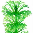 Aquatic plant Live Aquatic Aquarium Tropical Tank Plants C9T7 3 V5Q6 of I9D6