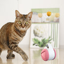 #A Funny Balance Car Wear-resistant Interactive Game Creative for Home Pet Suppl