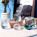 Three-Dimensional Pentagon Silicone Molds 7pcs Craft Supplies for Home Ornament