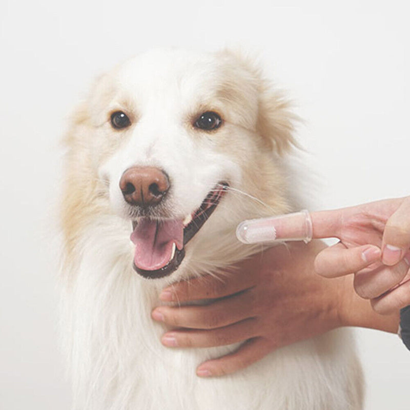 Pet Toothbrush Silicone Puppy Cat Finger Brush Bad Breath Cleaning Tools Newly