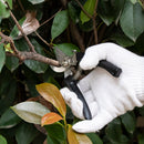 Gardening Fruit Shears Multi-function Tree Branch Manual Pruning Tool Scissors