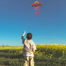 90x50cm Bright Cloth Colorful Butterfly Kite Outdoor Foldable Kites (A) Newly