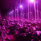 Full Spectrum 28W E14 LED Grow Light AC85-265V LED Growing Lamp Plant Light