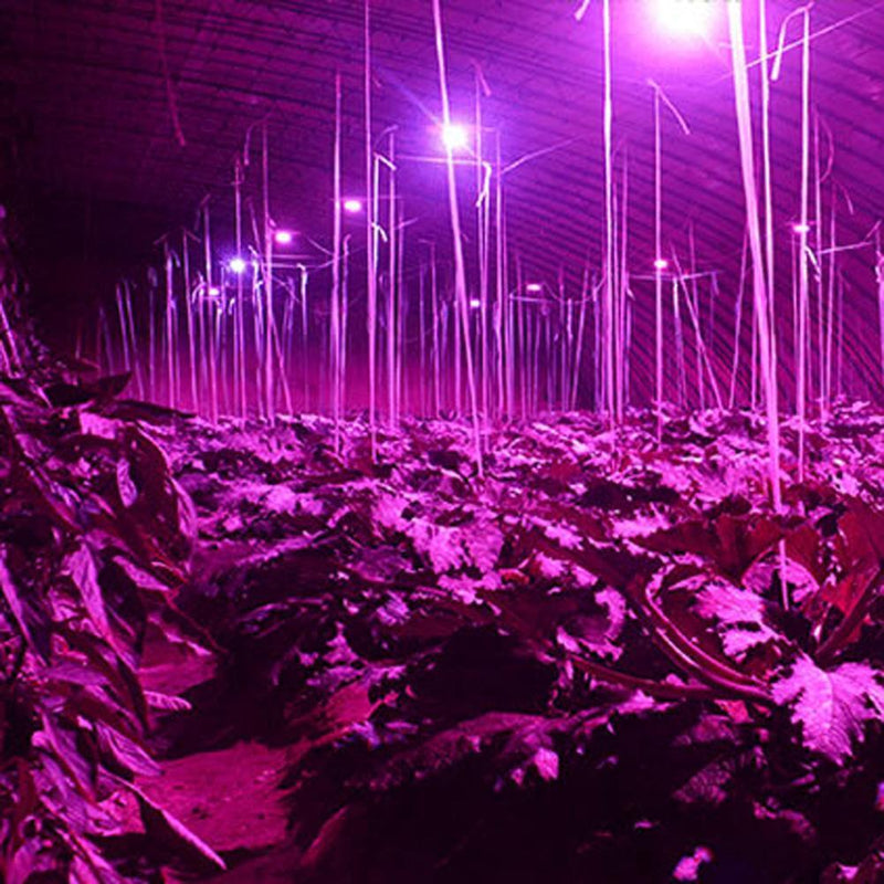 Full Spectrum 28W E14 LED Grow Light AC85-265V LED Growing Lamp Plant Light