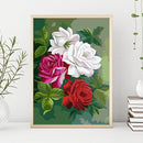 Painting By Numbers Flower Hand Painted Oil Drawing Wall Picture DIY Decor Kit