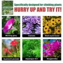 Trellis Netting for Climbing Plants - Heavy Duty Gouryard Trellis Netting Newly