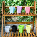 Boxplanter Succulent Plastic Flower Pot Planter Tool Plant  Trays Mini Basin