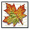 Cross Stitch Kit 14CT Stamp DIY Leaves Ecological Cotton Needlework (J194)