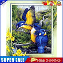 #A Flower Bird Oil Paint By Numbers Kit DIY Acrylic Painting Wall Art Picture Cr