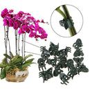 Clamping Plant Clips Gardening Tool Vine Support Bundle Orchid Stem Clip