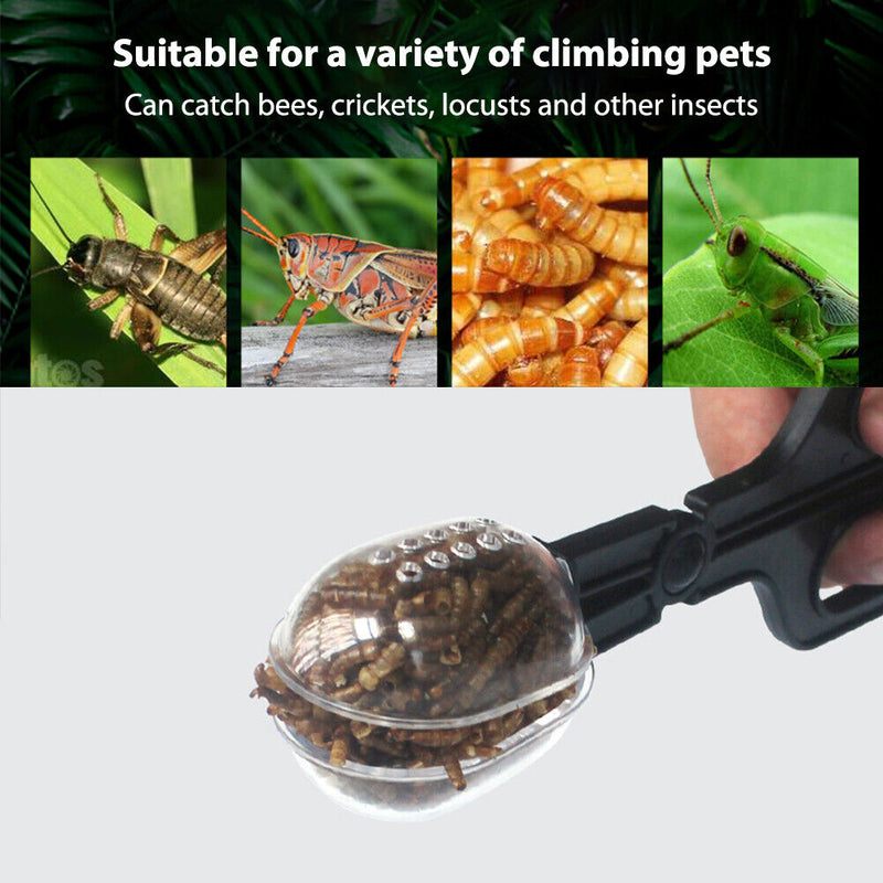 Reptile Terrarium Lizards Tweezers Pet Raising Feeding Tool Clips (Black) Newly