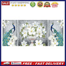 3pcs 5D DIY Full Drill Diamond Painting Peacock Cross Stitch Embroidery Needl