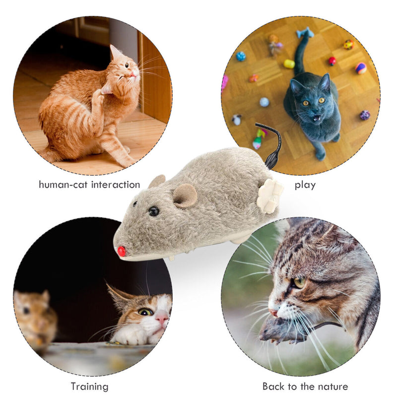 Wind Up Mouse for Cats Kitten, Realistic Clockwork Rat, Interactive Toys