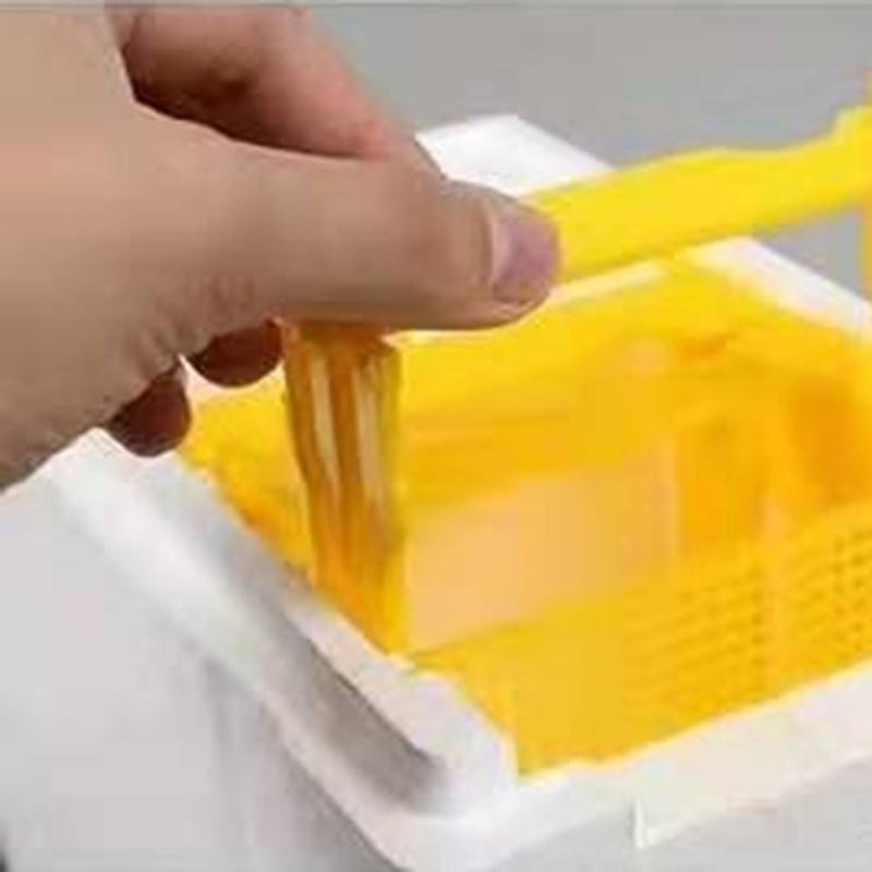 Beehive Pollination King Bees Hive Box Beekeeping Case Beekeeper Supplies