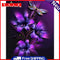 DIY Flower and Animal Oil Paint by Numbers Drawing Pictures Home Decoration Kit