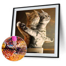 Intimate Cats 5D Diamond Painting Embroidery DIY Cross Stitch Home Decor Newly