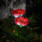 IP65 Waterproof Solar Powered 3 LED Rose Light Garden Ground Lamp (Red) Newly
