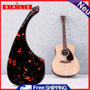 Guitar Pickguard Scratch Plate Professional for Acoustic Guitar Accessories