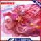 Coral Girl Oil Paint By Numbers Kits DIY Picture for Adults Children No Frame