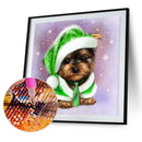5D Diamond Painting Dog in Green Hat Full Round Drill DIY Wall Art Crafts M