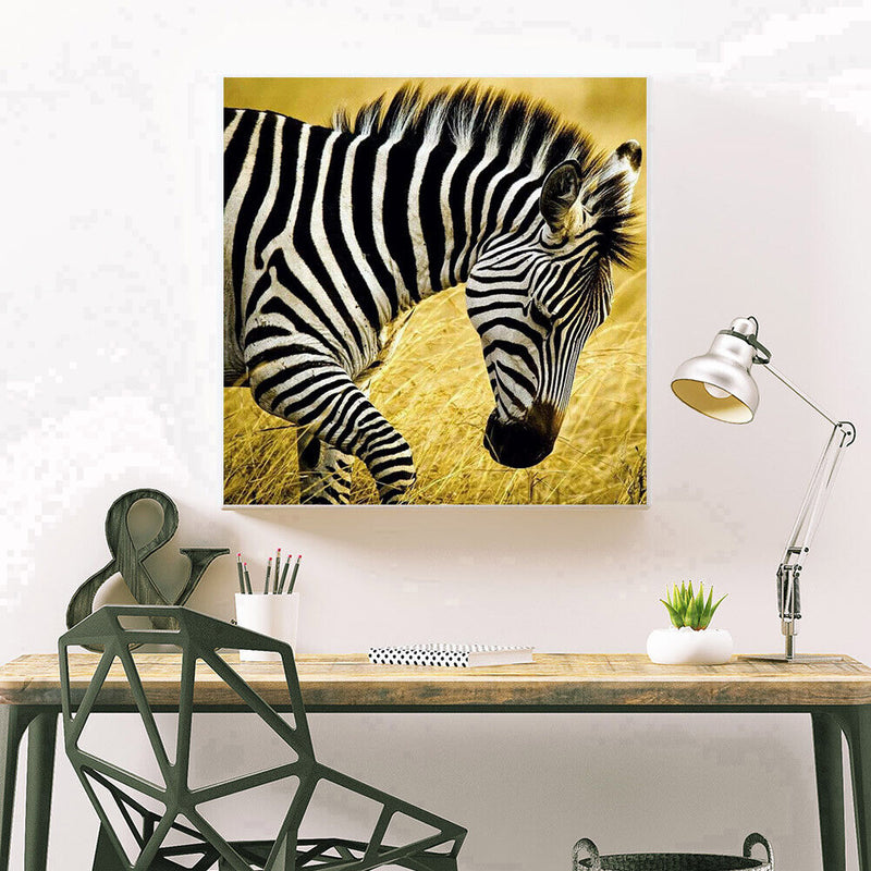 5D DIY Full Drill Diamond Painting Walking Zebra Embroidery Craft Needlework Set