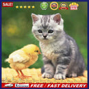 5D DIY Full Drill Diamond Painting Chicken Cat Cross Stitch Embroidery Kits