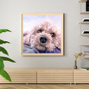 Pet Dog Frameless DIY Oil Paint by Numbers Hand Painting Wall Art Craft