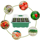 10pcs Seed Starter Tray Kit Garden Nursery Seedling Germination Box (Green)