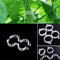 Plant Vine Fixing Clamp Hanging Seedling Clamp Gardening D8R1 U1C0 Fixing K5F4