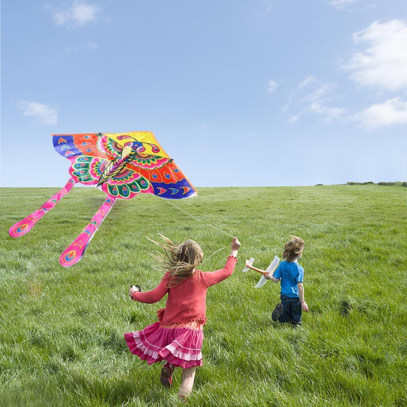 90x50cm Bright Cloth Colorful Butterfly Kite Outdoor Foldable Kites (C)