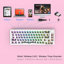 68 Keys RGB 60 Percent NKRO DIY Mechanical Hotswap Keyboard Kits (White)