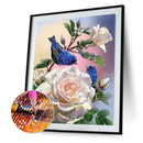 Full Round Drill Diamond Painting Flower and Bird Pictures Handiwork Mosaic K