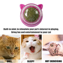Catnip Ball Cat Toys Licking Teeth Chewing Pet Training Bite Balls (Purple)