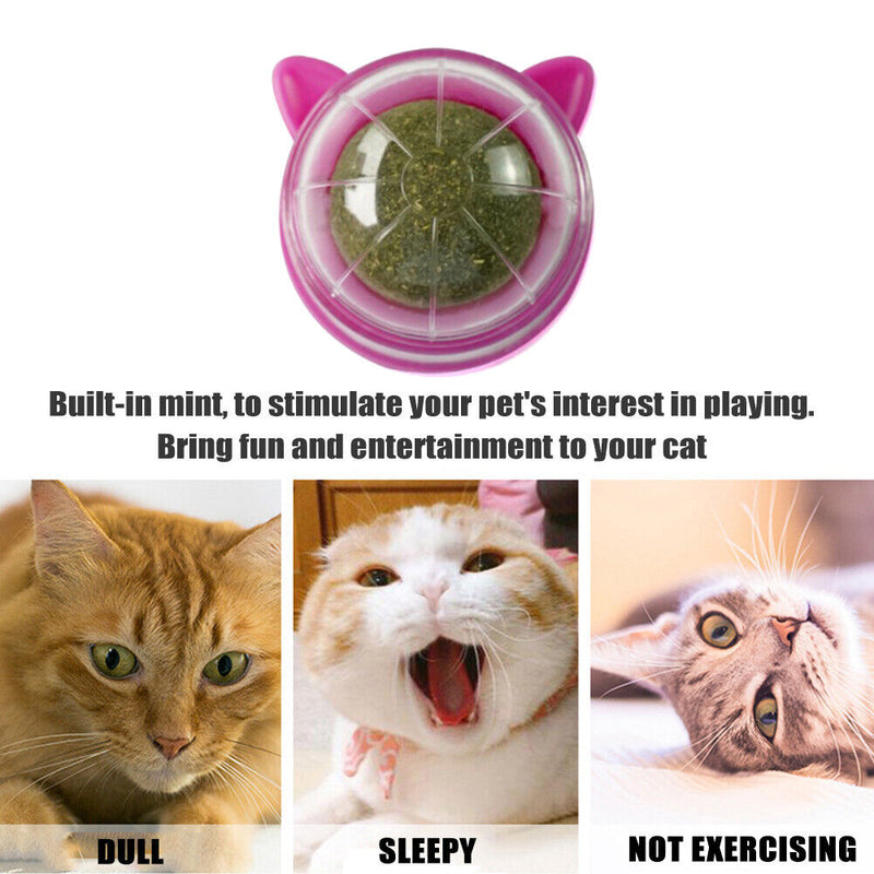 Catnip Ball Cat Toys Licking Teeth Chewing Pet Training Bite Balls (Purple)