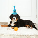 Pet Dog Birthday Hat with Number Cat Headwear Costume Party Decoration Supplies